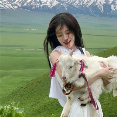 史黛拉·达拉斯